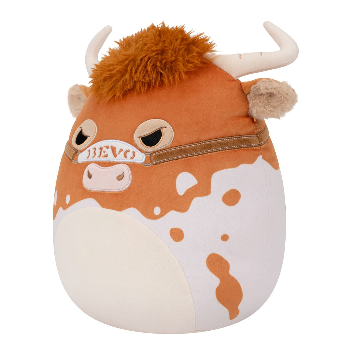 University of Texas 12-Inch Bevo XV
