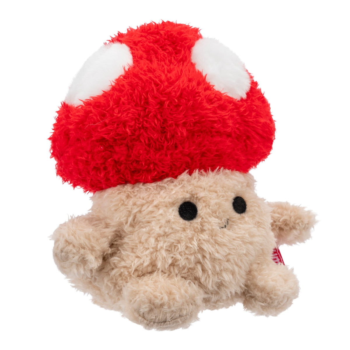 Mushroom Stan