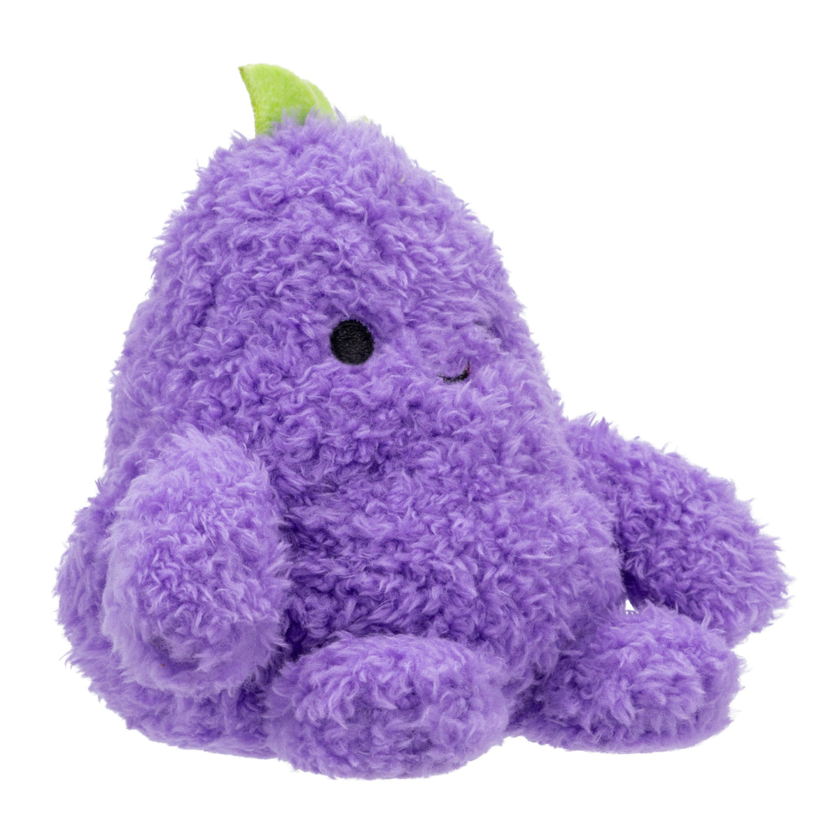 Eggplant Erinn