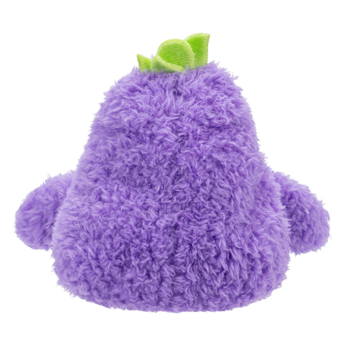 Eggplant Erinn