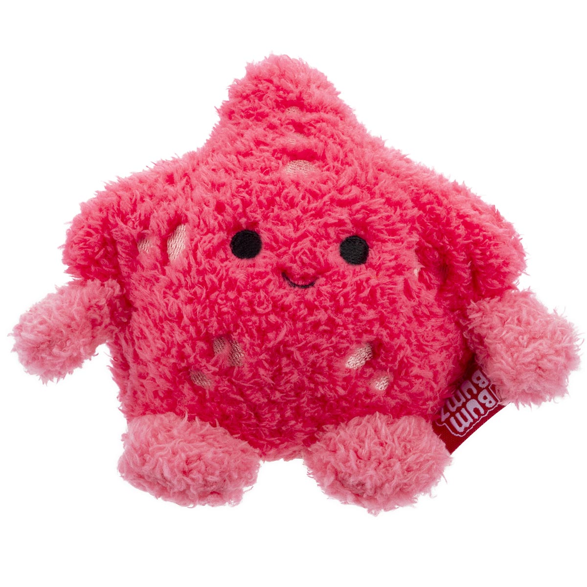 Starfish Sandrine