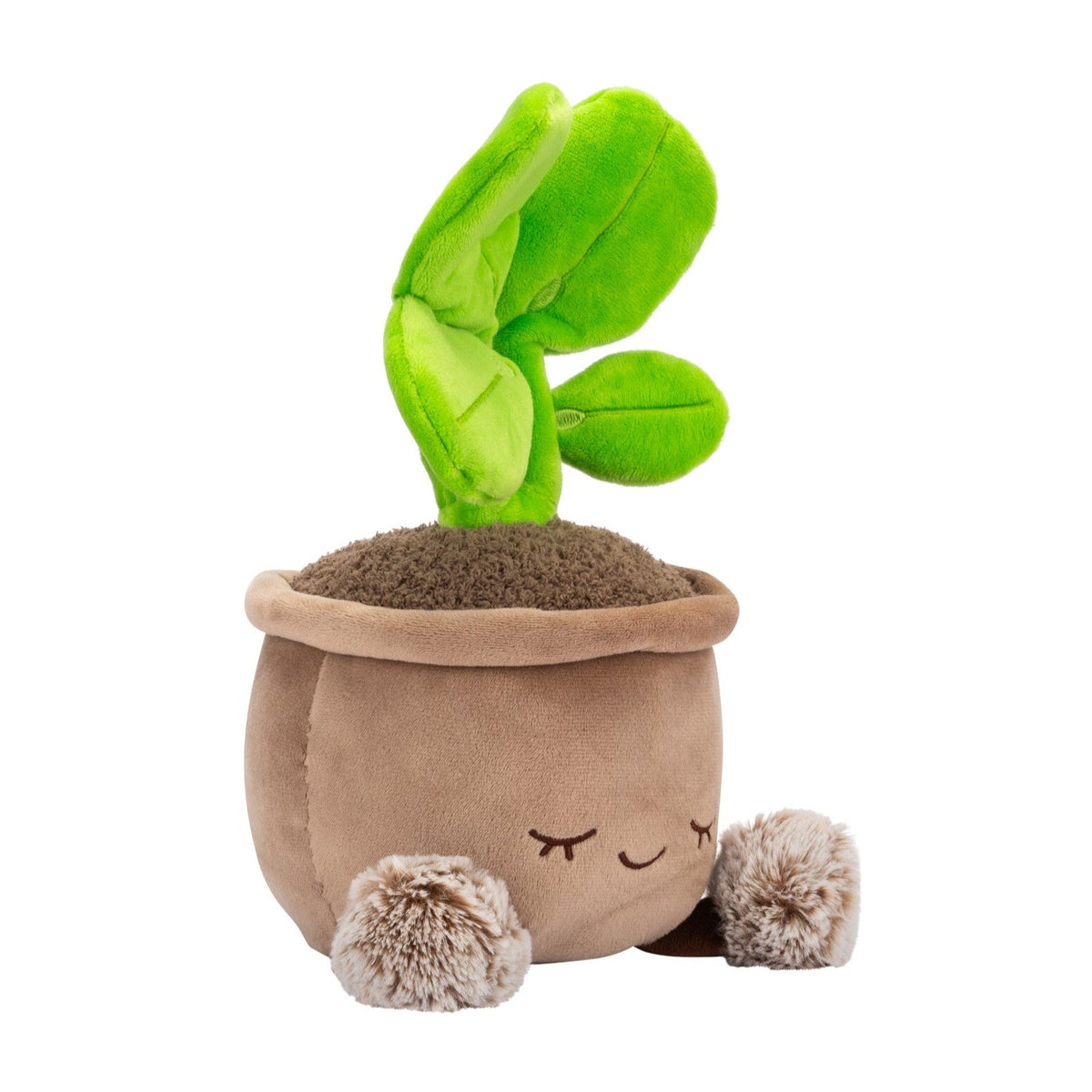 Greenhouse by Russ 12-Inch Pilea Plant Plush