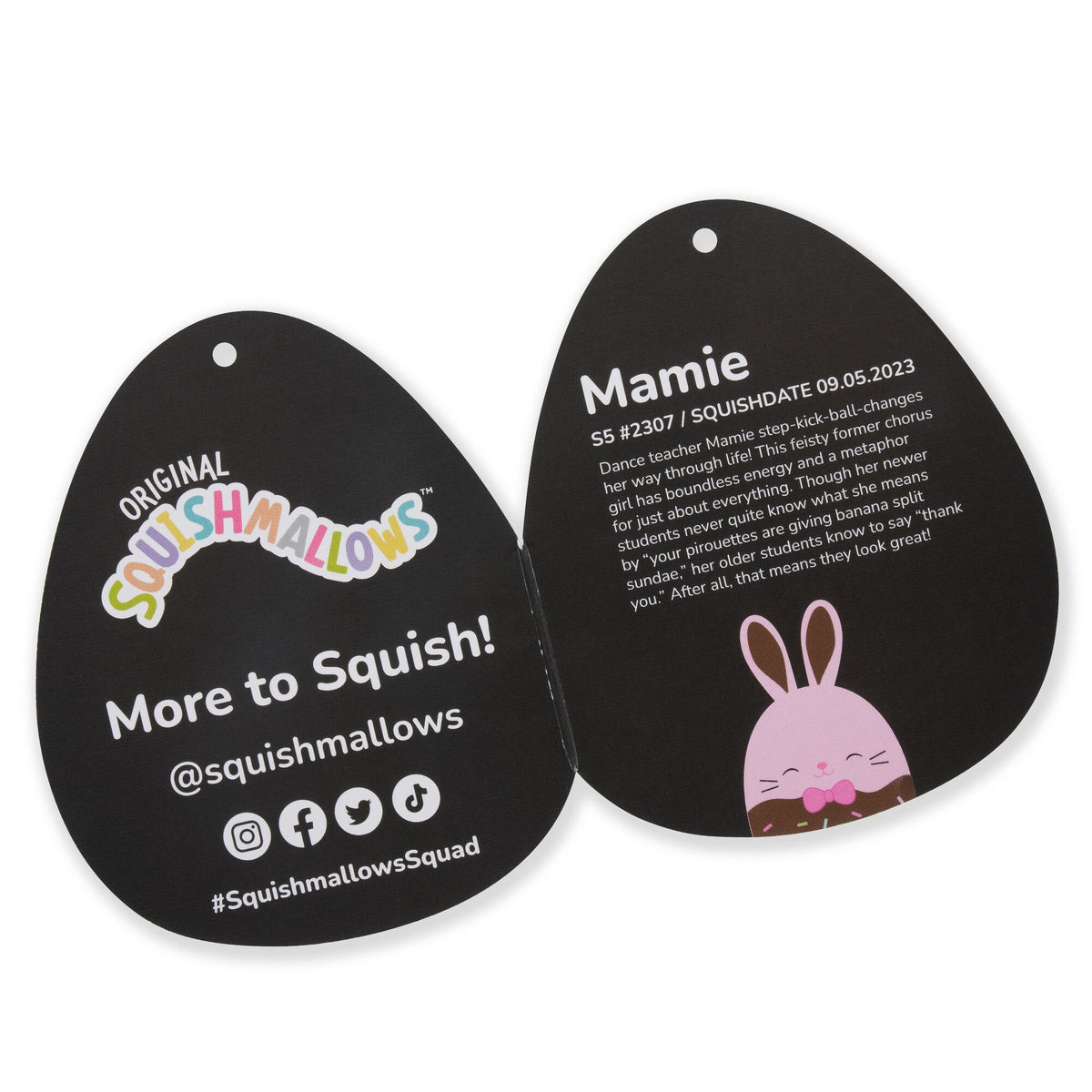 5-Inch Easter Chocolate Bunny 4-Pack