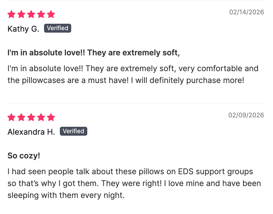 SquishPillow Bed Pillow and Pillowcase 2-Pack