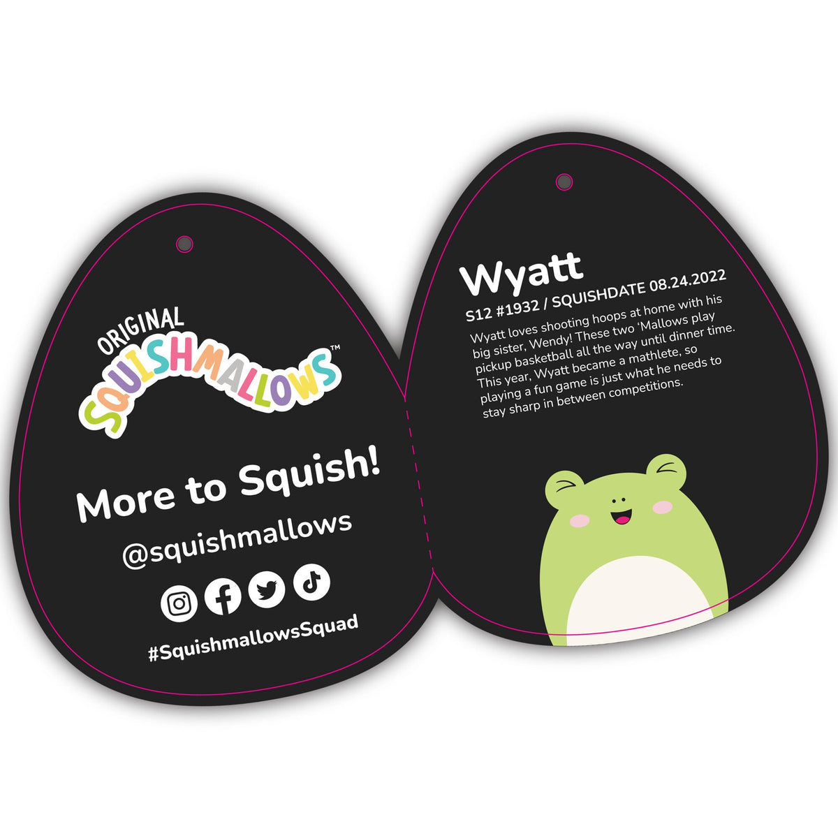 12-Inch Select Series: Wyatt the Frog
